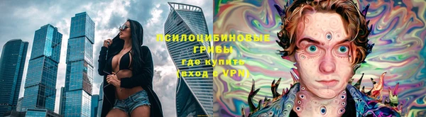 соль ск Краснослободск