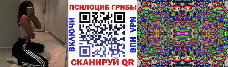 Галлюциногенные грибы ЛСД  OMG зеркало  Терек 